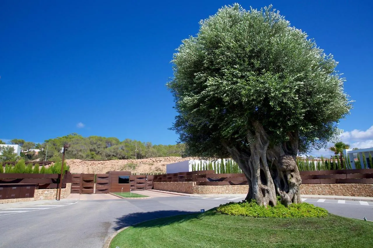 Contemporary Ibizan Villa Cala Conta Dream Short Walk To Beach San Jose Cala Comte